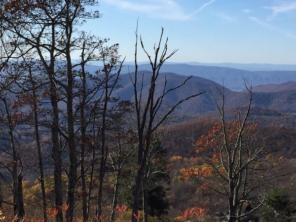 Only and hour from Harrisonburg, Shenandoah National Park is beautiful in every season.